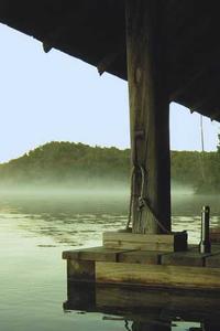 Alex Martinez avatar