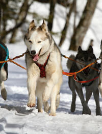 Alex Martinez avatar