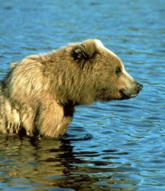 Jonas Richter profile photo