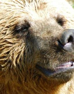 Jonas Richter profile photo