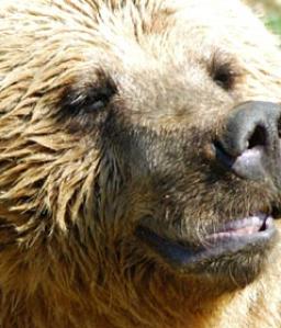 Leo Anders profile photo