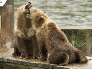 Alex Martinez avatar