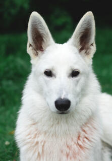 Leo Anders profile photo