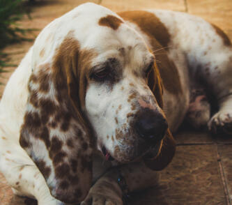 Maya Chen profile photo