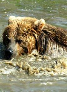 Maya Chen profile photo