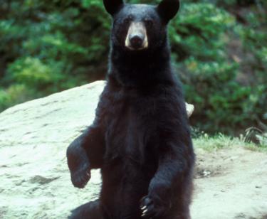 Leo Anders profile photo