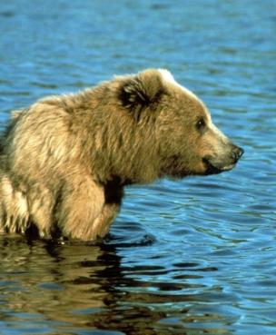 Maya Chen profile photo