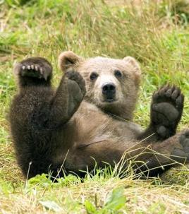 Maya Chen profile photo