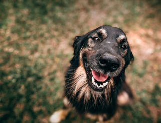 Alex Martinez avatar