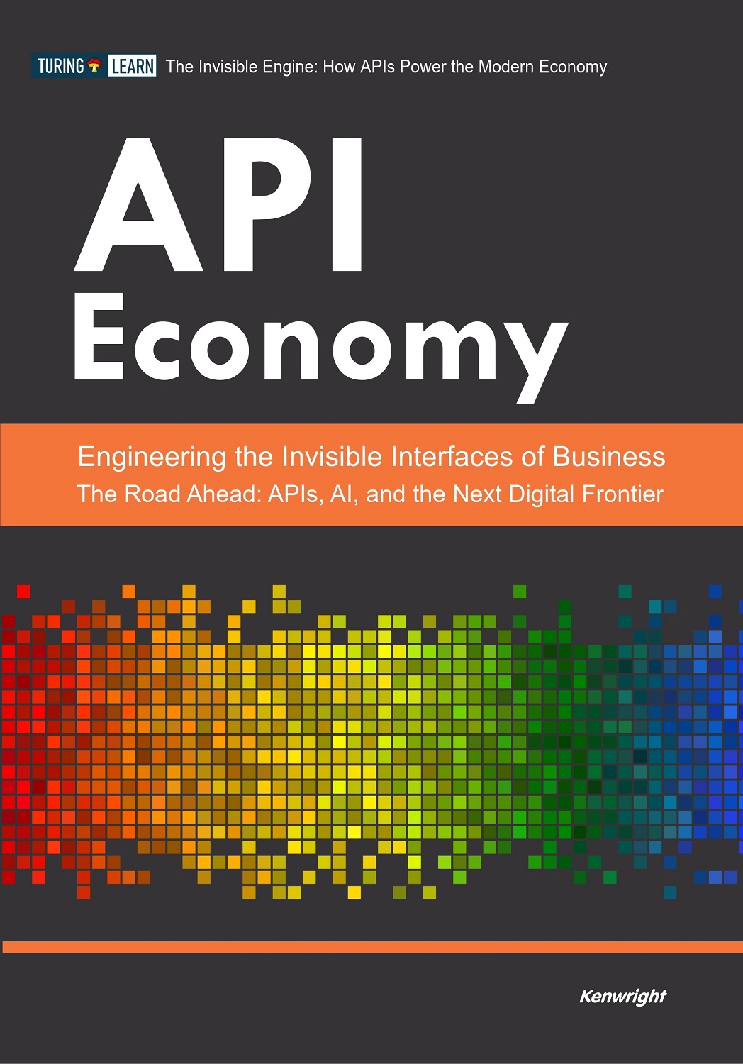 API Economy cover large